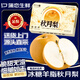 蒲戀山東萊陽(yáng)秋月梨【JD多地次日達(dá)】新鮮水果禮盒現(xiàn)摘梨子當(dāng)季整箱 精品級(jí)中果【單果3-4兩】 5斤裝【力薦-蕞劃算】?jī)糁?.5斤