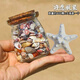 許愿瓶裝天然海螺貝殼海星組合海洋科普標本手工diy材料裝飾擺件 【加大海星】許愿瓶裝約400顆