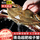 【鮮活發(fā)貨】青島梭子蟹新鮮海捕上岸鮮活大螃蟹飛蟹母蟹生鮮蟹類(lèi) 【鮮活發(fā)】特大螃蟹3斤7-12只