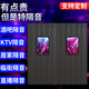 超強隔音門(mén)簾專(zhuān)業(yè)馬路降噪臥室防風(fēng)棉門(mén)簾吸音超厚ktv酒吧隔音簾 高級黑牛津布+2層棉【無(wú)窗口】 寬110*高230cm