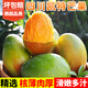 甜果源 攀枝花凱特芒 樹上現(xiàn)摘青黃皮芒果四川應季新鮮水果送禮品包郵 凈重8.5-9斤精選果【單果400g+】