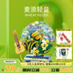 森寶積木花語旋音唱片機男生女生拼裝玩具擺件生日禮物611099