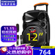 TEMEISHENG 特美聲TC-102戶(hù)外拉桿廣場(chǎng)舞K歌音響大功率便攜式藍牙帶話(huà)筒戶(hù)外藍牙帶無(wú)線(xiàn)活動(dòng)演出教學(xué)擺攤音箱 TC-102 12吋重炮美聲話(huà)筒+遙控器