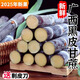 味果生正宗廣西黑皮甘蔗中斷當(dāng)季新鮮水果榨汁糖果蔗脆甜桿農(nóng)家自種整箱 5斤裝【帶削皮刀】