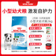 皇家狗糧 幼犬狗糧 寵物 小型犬 MIJ31 全價(jià)犬糧 2-10月 2KG