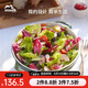 琺寶（staub）陶瓷碗大號沙拉碗家用甜品碗泡面湯碗面碗烘焙雙耳飯碗 18cm 蒔蘿綠