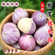 金百粟 云南紫皮獨(dú)頭蒜全干蒜大蒜紅皮獨(dú)蒜生鮮蔬菜產(chǎn)地直發(fā) 干獨(dú)蒜 凈重2斤 中果2.5-3.0cm