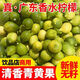 【熱賣款】廣東頭茬香水檸檬無仔青黃檸檬現(xiàn)摘特級爆汁新鮮水果 優(yōu)選裝單果50g+ 3斤帶箱凈重2.5-2.8斤