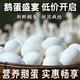 農(nóng)家土鵝蛋孕婦大鵝蛋農(nóng)家散養(yǎng)純糧五谷雜糧喂養(yǎng)新鮮農(nóng)家散養(yǎng)鵝蛋 土鵝蛋6枚105克-125克