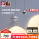 Paulmann P德國柏曼全光譜護(hù)眼吊燈臥室床頭餐廳現(xiàn)代簡(jiǎn)約LED燈具可旋轉(zhuǎn) So02-紫光護(hù)眼-鏡光銀-3000K