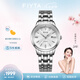 飛亞達(dá)（FIYTA）手表男女 芯動(dòng)系列輕奢雅致商務(wù)情侶機(jī)械表 七夕節(jié)禮物送愛人 【雅致白盤】女款