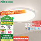 雷士（NVC）陽臺(tái)燈臥室吸頂燈書房現(xiàn)代簡(jiǎn)約防蚊蟲led照明包安裝24瓦暖白光