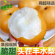 猗頓農(nóng)品【脆甜】正宗豐水梨新鮮當(dāng)季脆甜水果冰糖雪梨多汁凈重2.5斤彩箱 凈重2.5斤【彩箱】單果300g+