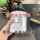 舒緩膏面臉部皮膚管理外敷水光面部原裝低敏不刺激【500克】 白500克