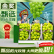 京府香園陽(yáng)光玫瑰葡萄晴王青提新鮮水果禮盒整箱當季生鮮現摘整串無(wú)籽提子 禮盒【5斤】特級果約10g+