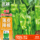 北蔬 泡椒辣椒種子苗微辣薄皺皮辣椒盆栽種菜種籽 早熟薄皮椒種子60粒