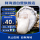 鮮海道 鮮活乳山生蠔4XL 凈重5斤 10-14只 生鮮海鮮貝類 源頭直發(fā)