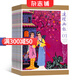 連環(huán)畫(huà)報(bào)雜志 2026年1月起訂閱 1年共12期 藝術(shù)欣賞 青少年繪畫(huà) 課外閱讀 雜志鋪每月快遞