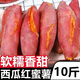 言覺板栗蜜薯10斤紅薯西瓜紅 沙地蜜薯小香薯新鮮現(xiàn)挖河南地瓜山芋 紅薯  精選帶箱9-10斤裝