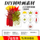 皓梵潔樹(shù)葉標本干花干樹(shù)葉葉子樹(shù)葉手工diy材料包葉子標本植物壓花裝飾 diy樹(shù)葉畫(huà)【隨機13款35片】