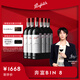 奔富（Penfolds）華晨宇同款Bin8設拉子赤霞珠紅葡萄酒750ml*6支整箱行貨 中秋禮品