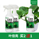 貝可施葉倍亮除污亮葉植物增亮不傷植被恢復(fù)光澤去污亮葉光亮劑 葉倍亮*2【拍2瓶贈(zèng)1瓶實(shí)發(fā)3瓶】