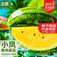 北蔬 西瓜種子種苗早熟黃心黃肉超甜西瓜水果籽 小鳳黃瓤西瓜種子60粒