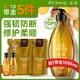 滋源生姜防斷發(fā)洗發(fā)水套裝側柏葉無(wú)硅油強韌535ml+200ml*2+60ml*2中干
