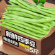 云南四季豆五斤新鮮現(xiàn)摘云南長扁豆角農(nóng)家應(yīng)當(dāng)季蔬菜蕓豆現(xiàn)摘菜豆 新鮮四季豆五斤帶箱