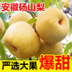 順豐正宗碭山酥梨9斤新鮮梨子當季現(xiàn)摘脆甜黃雪梨香梨青酥梨蜜梨L 5斤大果【多人選擇  順豐快遞】