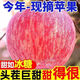 山東果園現摘紅富士蘋(píng)果 新鮮時(shí)令鮮果整箱孕婦水果 單果70-75mm 5斤帶箱(凈重4.5斤)