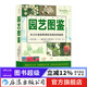 園藝圖鑒 家庭陽(yáng)臺(tái)種菜植物種植栽培工具使用指南生活家居書籍  后浪正版