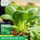 壽禾 小油菜種子青菜種籽秋冬季蔬菜菜籽 濰豐高柳上海青種子25g