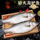冰鮮海鱸魚(yú)鮮活冷凍海釣深海鱸魚(yú)七星鱸魚(yú)白鯧魚(yú)餐飲采購 新鮮海鱸魚(yú)1條裝【1-1.2斤/條】