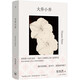 大喬小喬 《許我耀眼》趙露思陳偉霆主演原著(zhù)作品小說(shuō)  張悅然小說(shuō)代表作 電影《喬妍的心事》電視劇