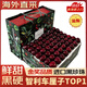 農果傳橙車(chē)厘子櫻桃禮盒裝【JD送貨到家】智利進(jìn)口車(chē)厘子送禮水果禮品盒 1.8斤(凈重) 禮盒1J【26-28mm】