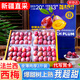 京地達新疆法蘭西西梅李子新鮮水果禮盒凈重2斤單果15g+源頭直發(fā)包郵