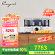 凱音（Cayin）A-88TMK2(6550EH)凱音斯巴克發(fā)燒級電子管功放HIFI大功率膽機家用音響功放機 A-88TMK2(6550EH)
