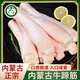 葷八廚 內蒙古牛蹄筋1斤凈重 新鮮牛肉生鮮牛筋蹄筋生牛腳板筋火鍋食材