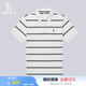 哈吉斯（HAZZYS）男裝 夏款短袖上衣通勤撞色橫條紋polo衫男ASTZE0BBE12 白色WT XL (180/100A 50)