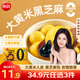 思念 大黃米湯圓花生 元宵湯圓 柿柿如意湯圓黑芝麻湯圓 速凍早餐點(diǎn)心 零添加蔗糖大黃米黑芝麻湯圓400g