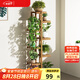 安爾雅 松木花架子花盆碳化室內(nèi)外客廳陽(yáng)臺(tái)多肉植物簡(jiǎn)約置物架花擺架8層