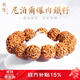 龍隱 六瓣爆滿(mǎn)肉金剛菩提子手串佛珠文玩尼泊爾藏式手鏈送男女友禮物 五瓣滿(mǎn)肉雙龍紋【深度清理】 18-19mm