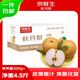 京鮮生山東煙臺(tái)萊陽(yáng)秋月梨凈重4.5斤單果300g+ 新鮮水果 源頭直發(fā)包郵
