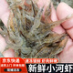 新鮮小河蝦鮮活冷凍新鮮野生青蝦湖蝦水產(chǎn)小草蝦青蝦商用冷鏈 8盒裝1360- 1600克(凈重)  超大號(hào)【鮮嫩油炸 非常好吃】