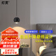 燈靈床頭小吊燈美國普瑞芯片全光譜臥室高級(jí)輕奢吊線燈可升降餐廳燈
