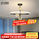 鹿屋黑金臥室燈現(xiàn)代簡約滿天星客廳房間燈具北歐輕奢創(chuàng)意魔豆餐廳吊燈 黑+金 A款大號【50*42CM】三色