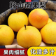 京地達鞍山南果梨 東北特產(chǎn)南國梨 凈重5斤30枚左右 源頭直發(fā)包