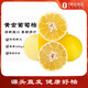 趣嘗鮮福建琯溪黃金葡萄柚 單果300g+ 凈重8斤裝 1號會(huì )員店 源頭直發(fā)