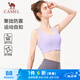 駱駝（CAMEL）速干女中高強度支撐運動內(nèi)衣健身bra Y25BAVLZ011 柔紫色 L